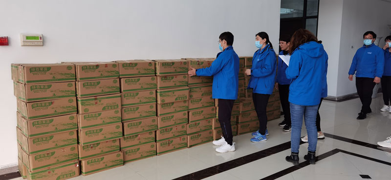 清明假期，华全集团员工领取生态白莲藕礼物